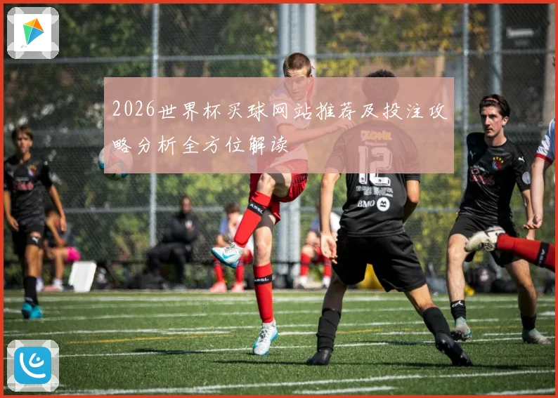 2026世界杯买球网站推荐及投注攻略分析全方位解读