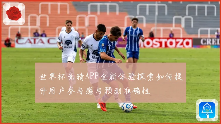 世界杯竞猜APP全新体验探索如何提升用户参与感与预测准确性
