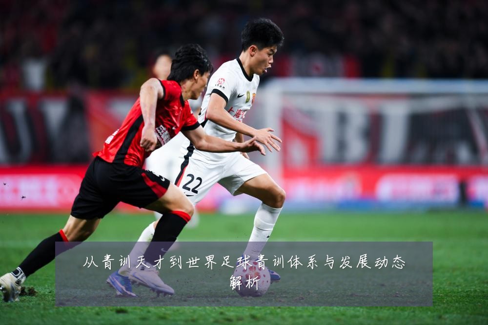 从青训天才到世界足球青训体系与发展动态解析